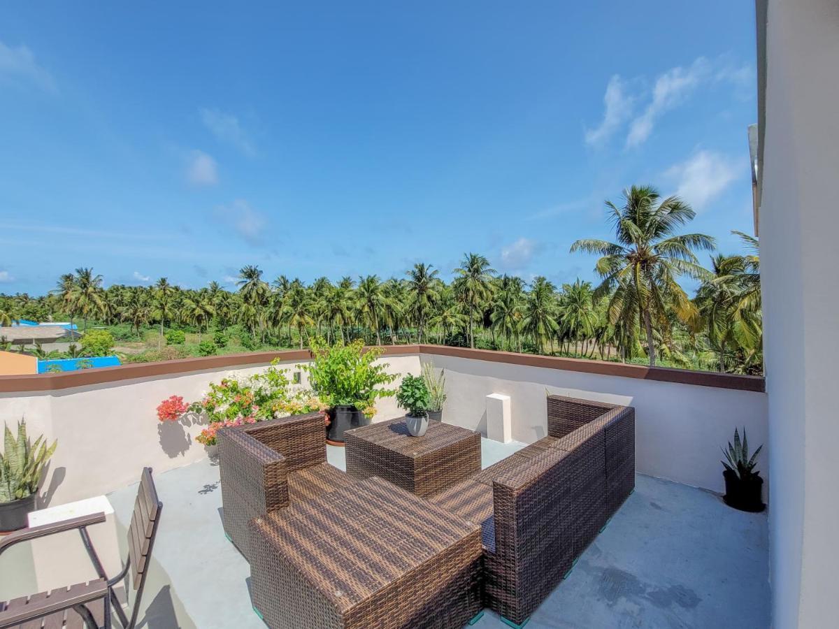 Amazing View Guest House Тодду Екстер'єр фото